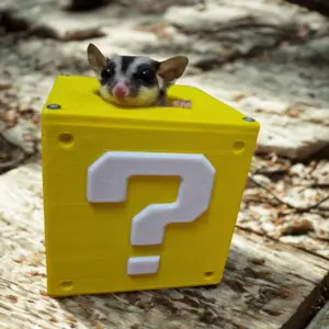 Casetta Petauri Question Block - Accessori Gaming per Piccoli Animali