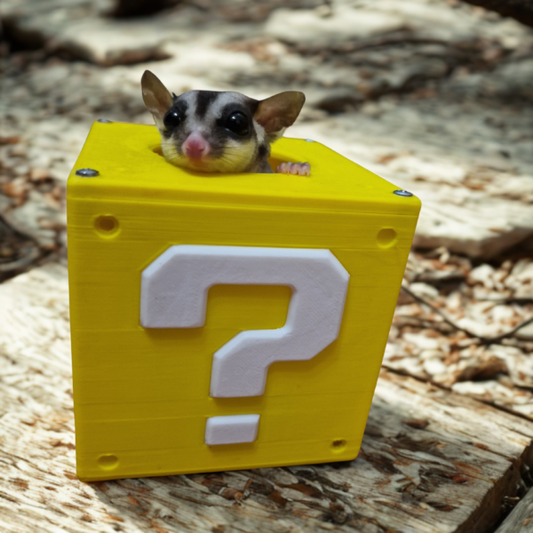 Casetta Petauri Question Block - Accessori Gaming per Piccoli Animali